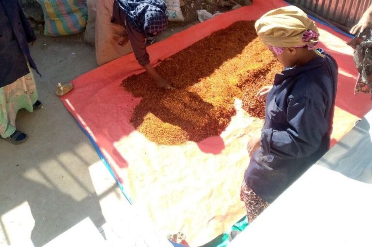 የሴቶች ኢኮኖሚያዊ  ተጠቃሚነት በደብረብርሀን ከተማ አስተዳደር፦