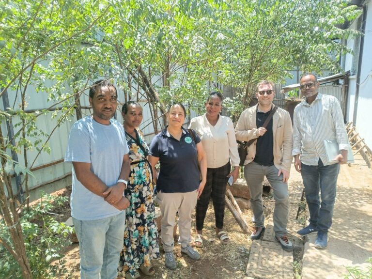 የአማራ ሴቶች ማህበር እና ኖርዌዥያን ቸርች ኤድ ስርአተ-ፆታን መሰረት ያደረገ ጥቃትን በመከላከል ዙሪያ ተወያዩ።