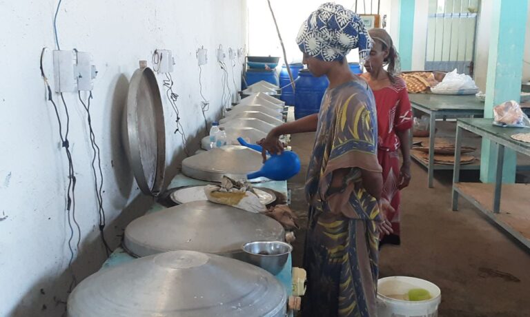 በኮምቦልቻ ከተማ የሚገኙ የአማራ  ሴቶች ማህበር አባላት በጋራ በመደራጀት የኢኮኖሚ ተጠቃሚነታቸውን እያረጋገጡ ነው።